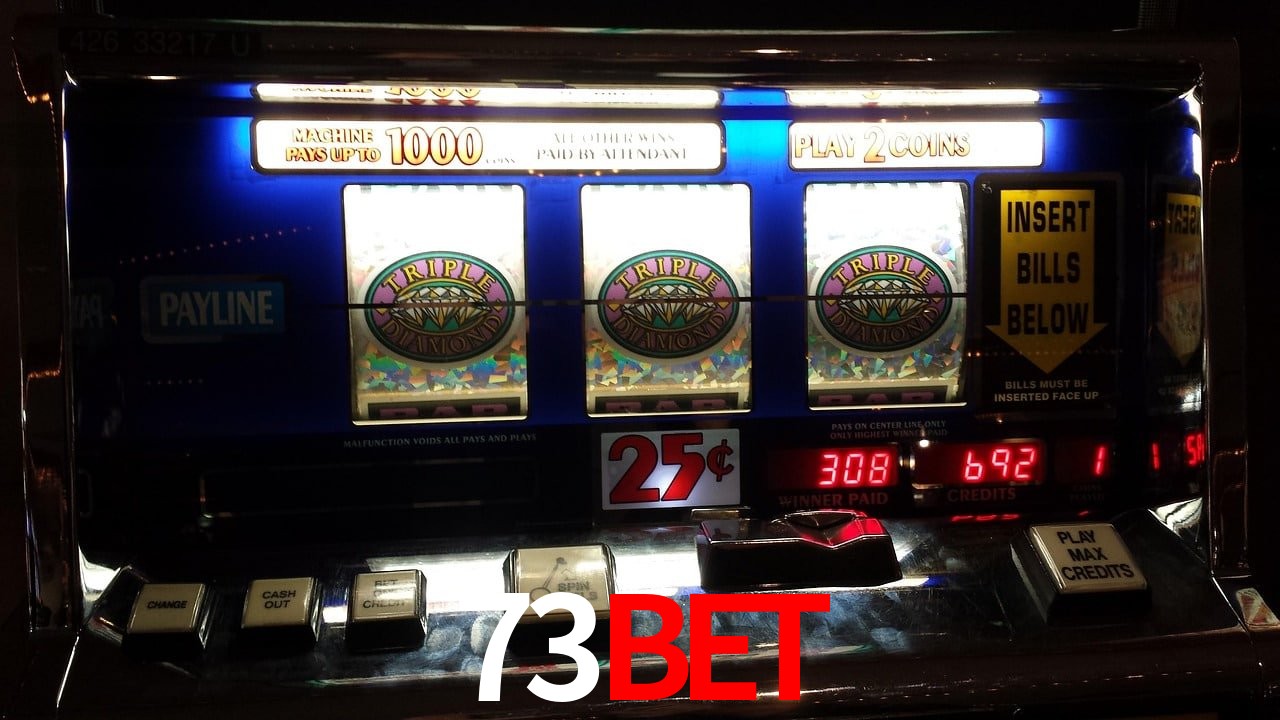 Sports Statistics 73bet